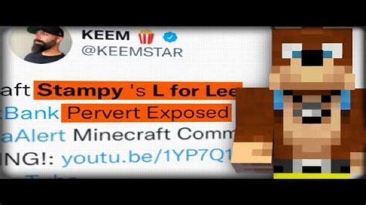 L For Lee And Stampy: The Ultimate Guide To The YouTube Sensation