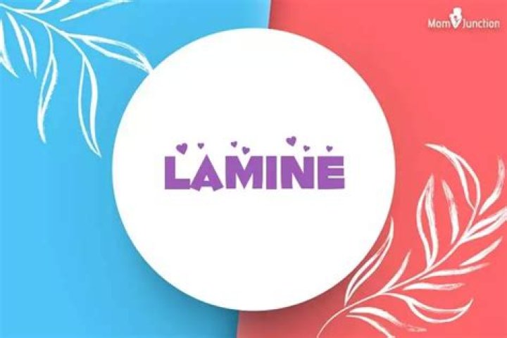 The Essential Guide To Understanding Lamine Meaning