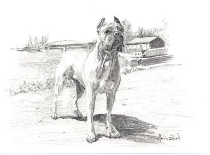 The Ultimate Guide To Lee Corso's Pencil Company