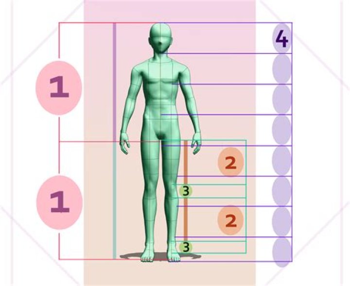 The Ultimate Guide To Leg Proportions: Achieving Perfect Symmetry