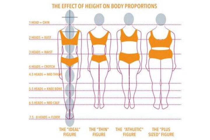 Optimal Leg To Height Ratio: The Ultimate Guide To Body Proportions