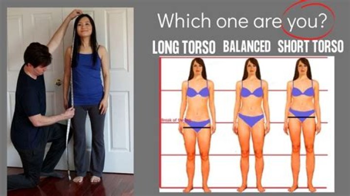 The Ultimate Guide To Leg To Torso Ratio: Optimizing Your Proportion