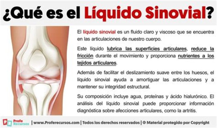 Incredible Guide To Understanding Synovial Fluid