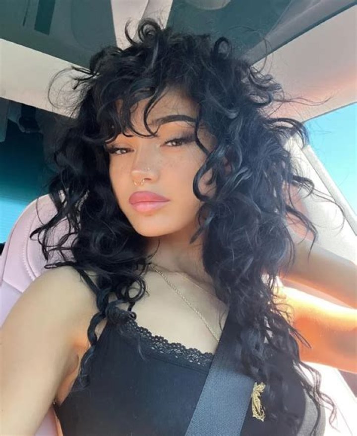 Uncovering Little Warren Leaks: Sources Exposed