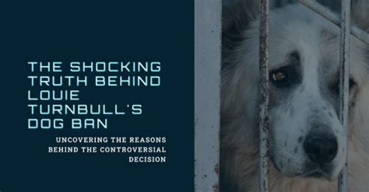 Louie Turnbull: Acclaimed Badminton Star