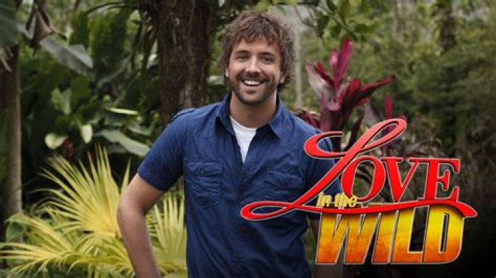 Uncover The Wild Romance Of 