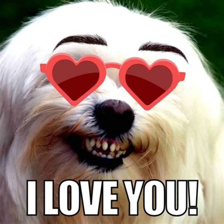 Share The Love: Hilarious 