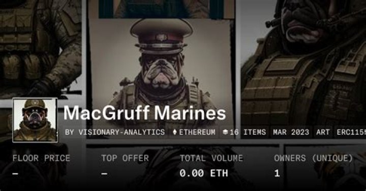 MacGruff: Your Trusted Safety Resource