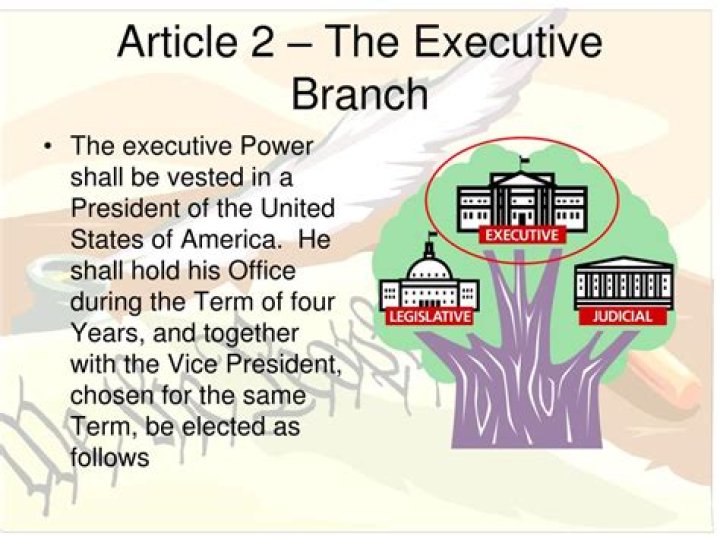 The Executive Branch In Government: Its Main Role And Responsibilities