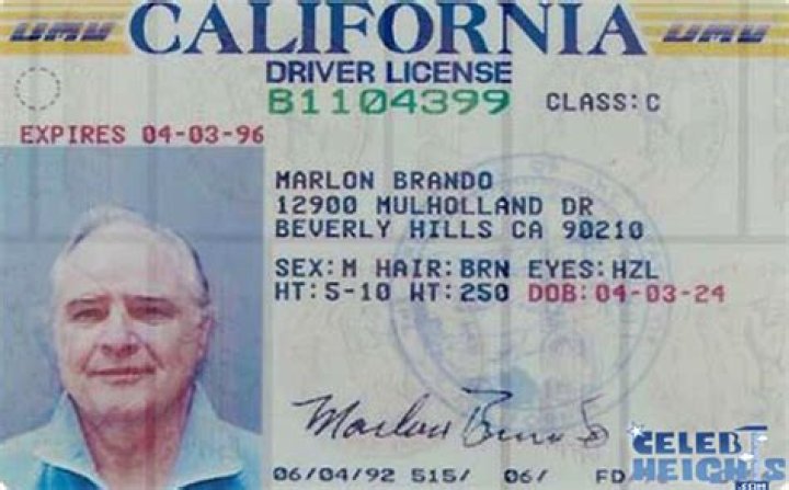 The Enigmatic Marlon Brando: Uncovering His Stature