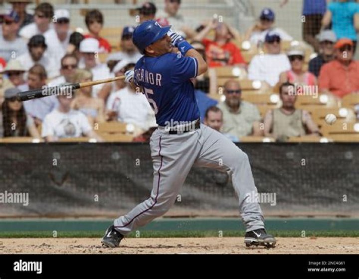 Matt Treanor: The Ultimate Baseball Star