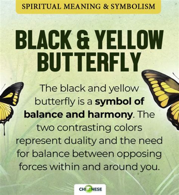Uncover The Intriguing Meaning Behind The Colors Black And Yellow