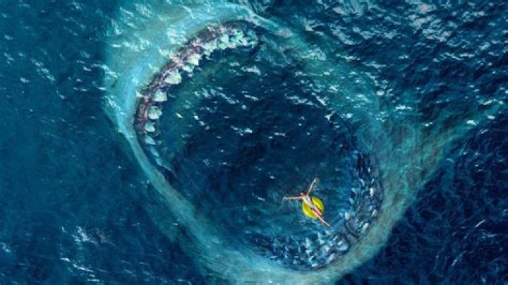 Unveiling The Megalodon's Enigma: Groundbreaking Discovery In 2024