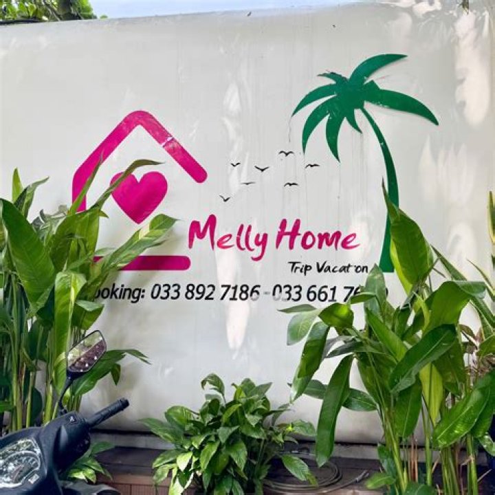 Discover Your Perfect Oasis: The Ultimate Home Sanctuary With Melly Home