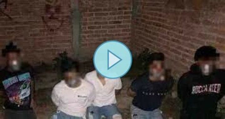 The Ultimate Guide To Mexican Students On Video