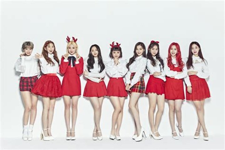 Momoland Members: The Complete Guide To The K-Pop Girl Group