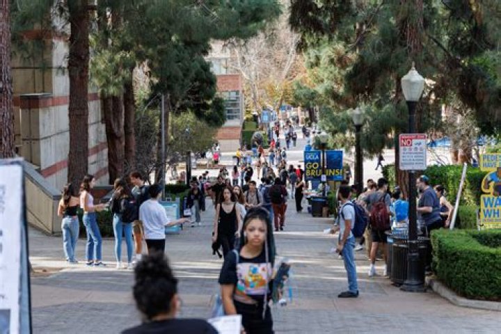 Get Your Comprehensive Guide To Accessing My UCLA Portal