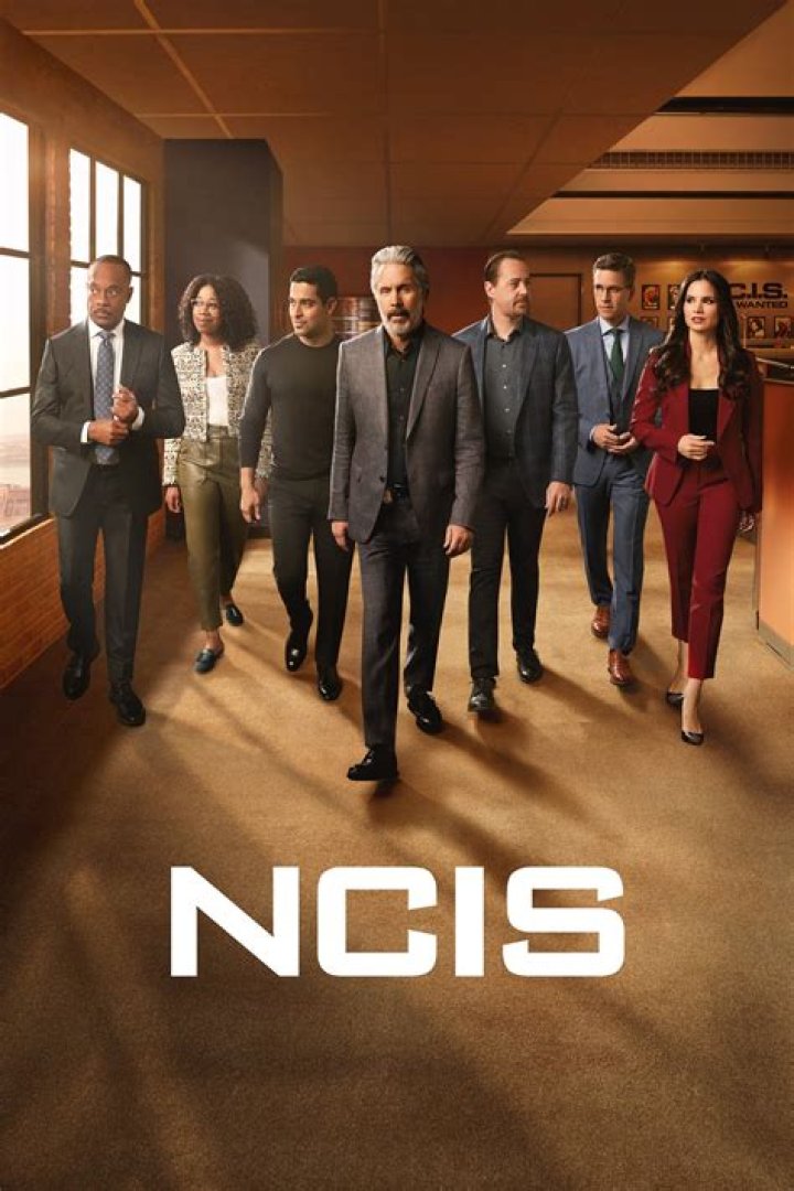 Uncover The Monetary Compensation Of A Thriving NCIS Agent