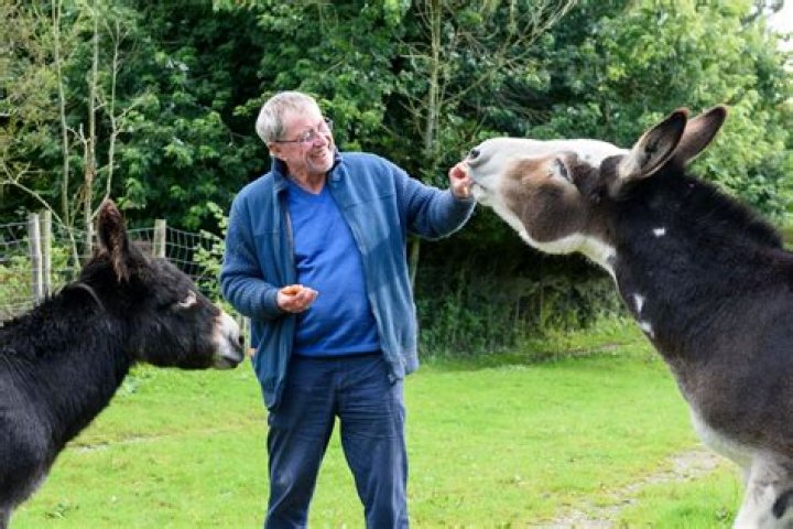 Exploring The Enigmatic Nettles: The Actor Behind The Name