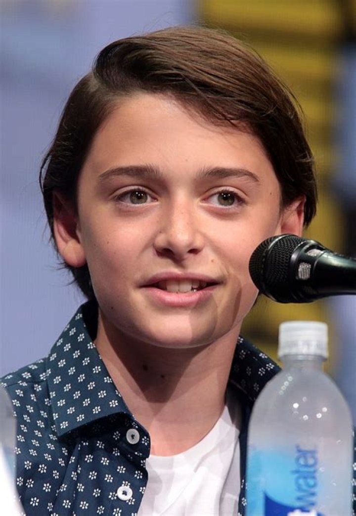 Noah Schnapp: A Comprehensive Guide To His Life And Career