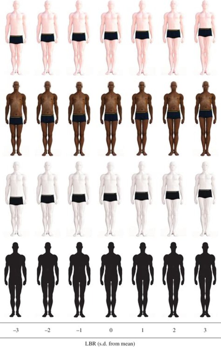 The Ultimate Guide To Understanding Normal Leg-to-Body Ratios