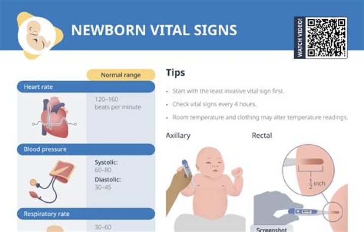 Understanding Newborn Respiratory: A Comprehensive Guide To Normal Breathing