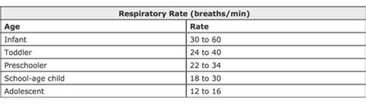 Understand The Normal Respiratory Rate For Infants: A Comprehensive Guide