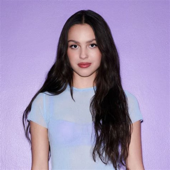 Olivia Rodrigo's Father's Occupation: A Peek Into The Relationship