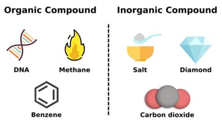 The ABCs Of Organic And Inorganic Compounds: A Comprehensive Guide
