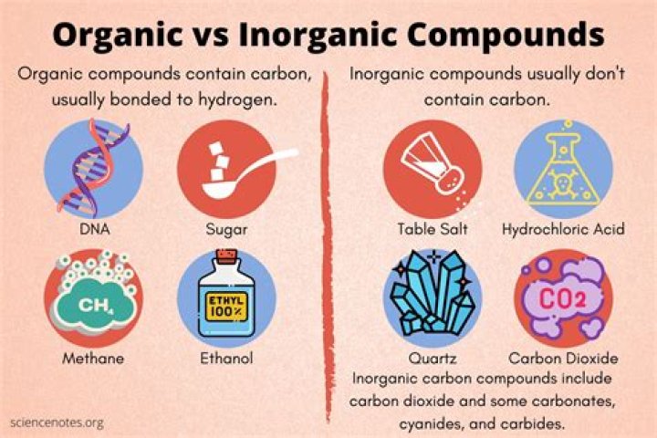 The Ultimate Guide To Understanding Organic And Inorganic Compounds