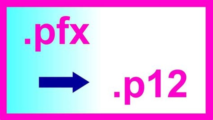 The Ultimate Guide To Understanding The Differences Between P12 And PFX Formats