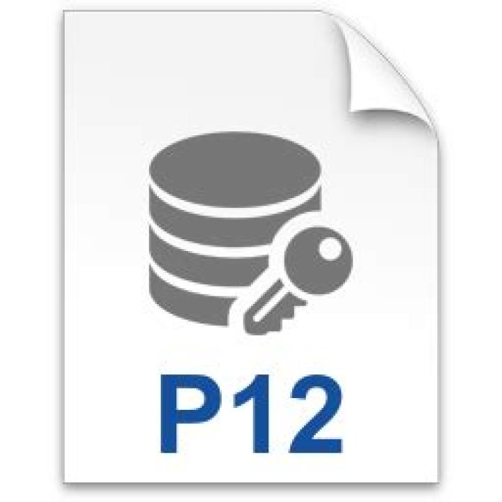 A Comprehensive Guide To P12 File Extensions: Your Ultimate Resource