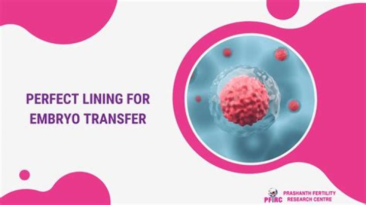 The Ultimate Guide To Achieving Perfect Uterine Lining For Successful Embryo Transfer