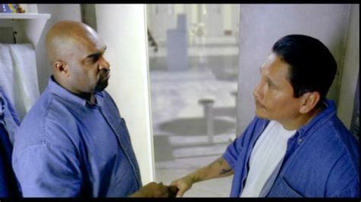 Renowned Filmmaker And Artist: Peter Mark Vasquez