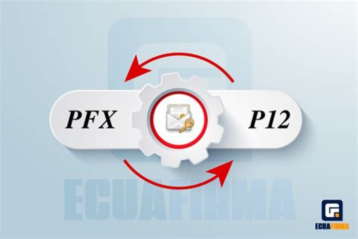 Learn The Key Differences Between PFX And P12 Certificates