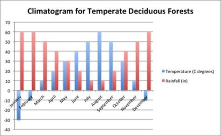 Deciduous Forest Precipitation: A Comprehensive Overview