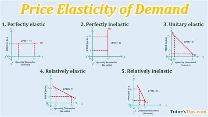 Understanding When Demand Responds More To Price Changes: Price Elasticity Greater Than 1