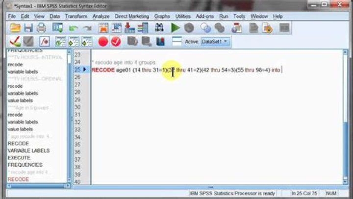 Enhance Your SPSS Data Analysis: A Guide To Recoding Variables
