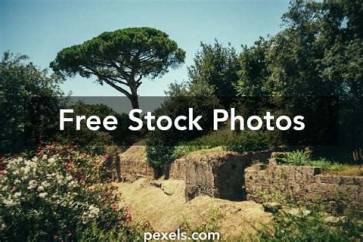 Discover Luxurious Properties At Rumahperjaka.com