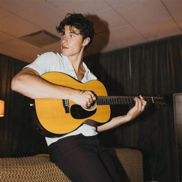 Shawn Mendes: Unveiling His Age And Career In 2015