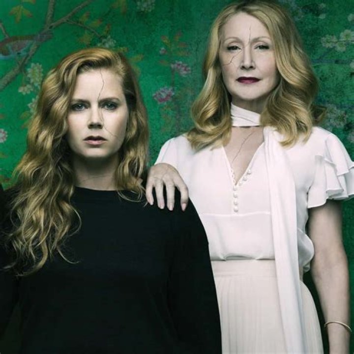 Immersive Shows That Captivate Like 