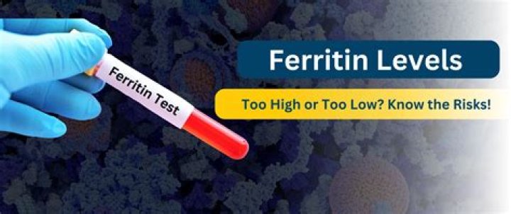 The Untold Significance Of Elevated Ferritin Levels: Unlocking The Mystery