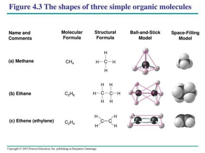 Dive Into The World Of Essential Simple Organic Molecules