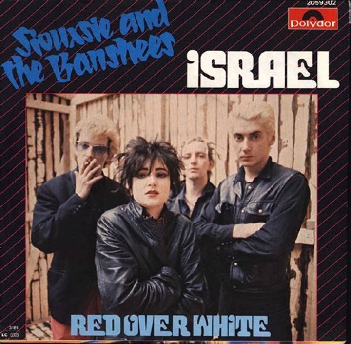 Unraveling The Meaning: Siouxsie And The Banshees' 