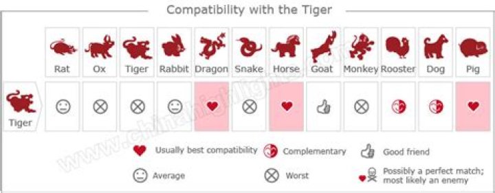 The Compatibility Guide: Snakes And Tigers In Love And Life