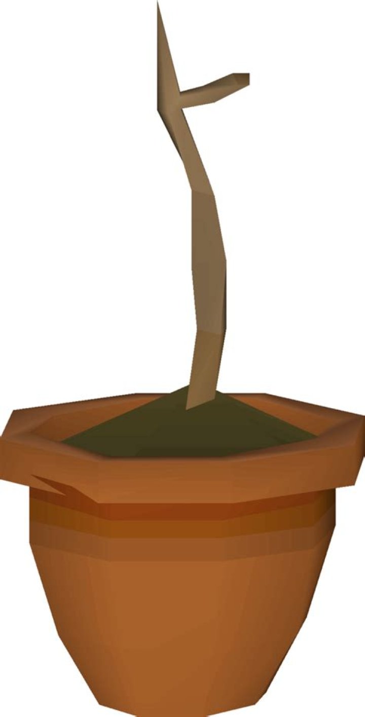 Ultimate Guide To Spirit Saplings In Old School RuneScape