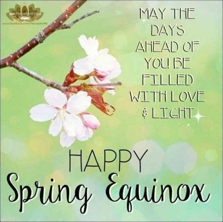 Hilarious Spring Equinox Memes: Celebrate The Arrival Of Spring