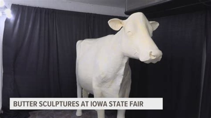 Shocking: State Fair Cow Dubbed With Inappropriate Name