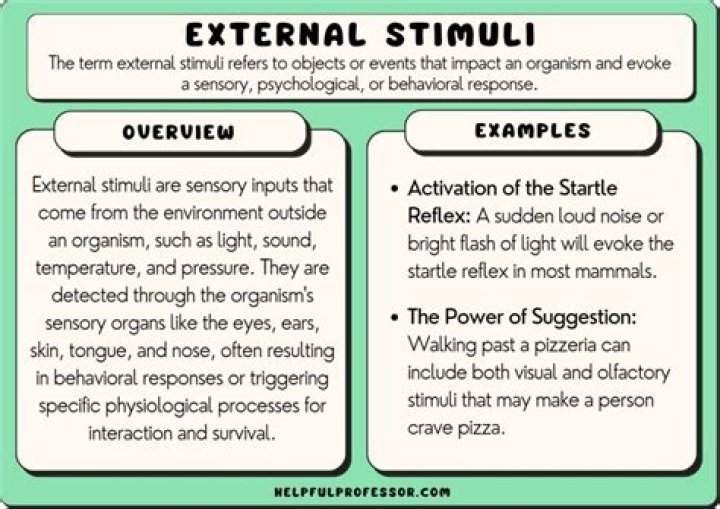 The Ultimate Guide To Stimuli That Trigger [Specific Response]