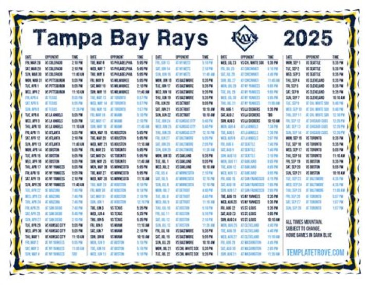 Tampa Bay Rays Closers Reach Milestone Of 300 Saves!